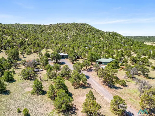 41 Canyon Rd, Quemado, NM 87829