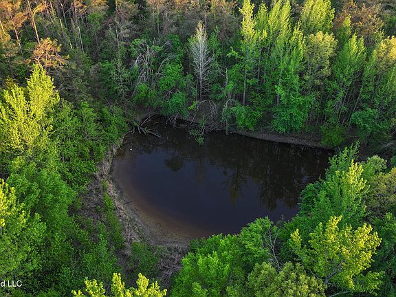 5th image of Dees Rd