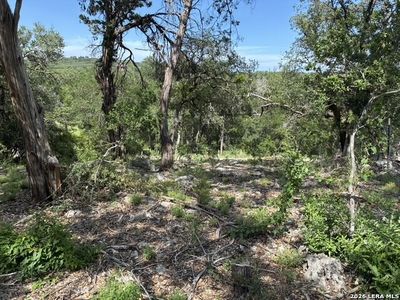 3020 TANGLEWOOD TRL LOT 62, Spring Branch, TX, 78070