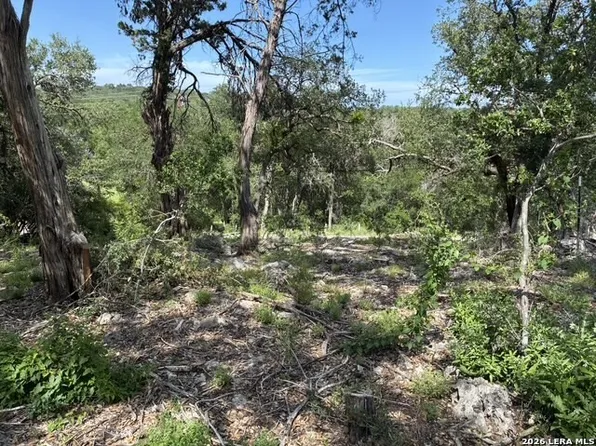 3020 TANGLEWOOD TRL LOT 62, Spring Branch, TX 78070