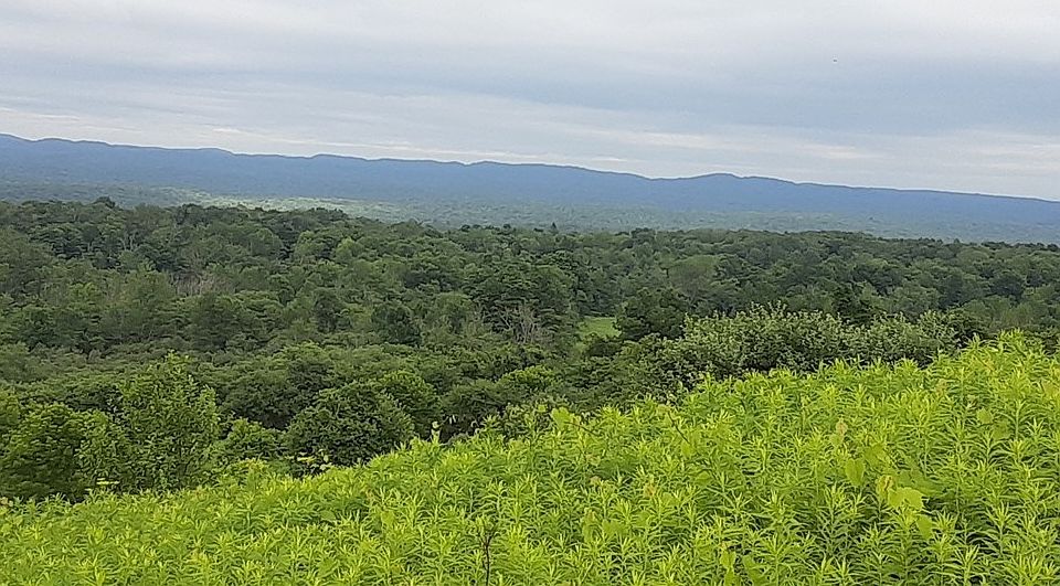 1st image of 271 Snyder Rd Lot 4