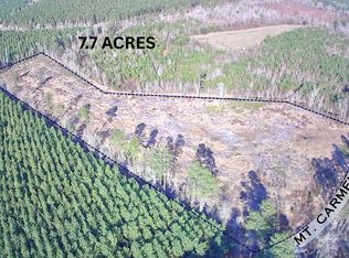 Mount Carmel Rd, Walterboro, SC 29488