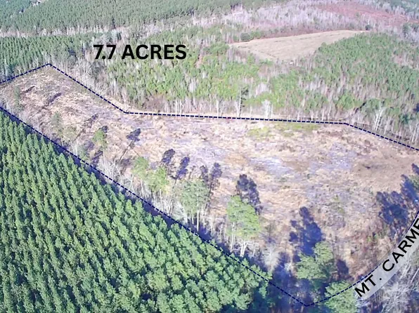 Mount Carmel Rd, Walterboro, SC 29488