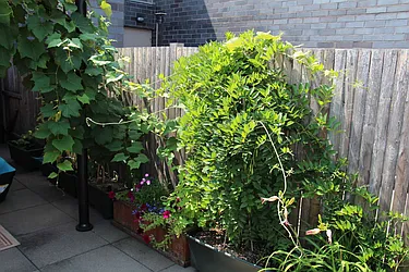 Rented by Owner