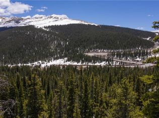301 Kimmes Ln, Breckenridge, CO 80424