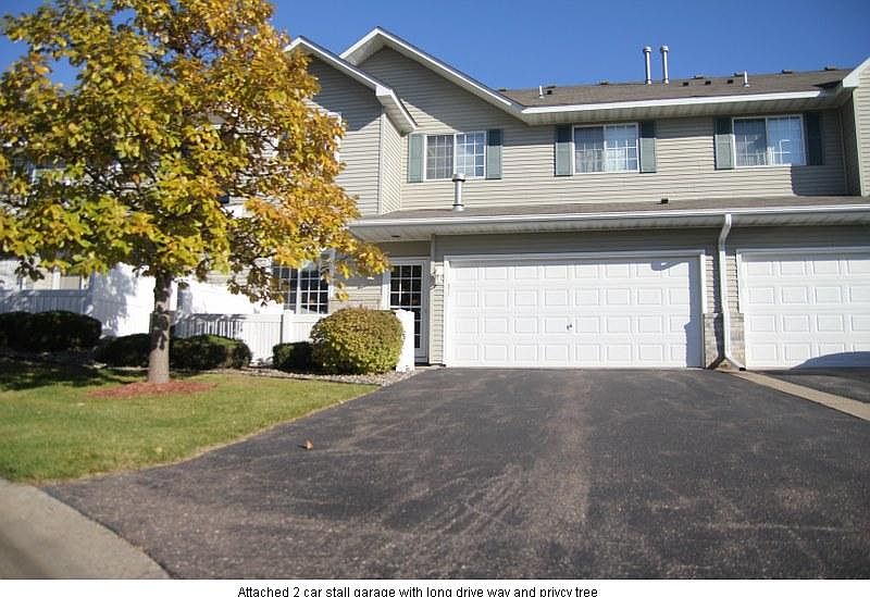 Long driveway, privacy tree