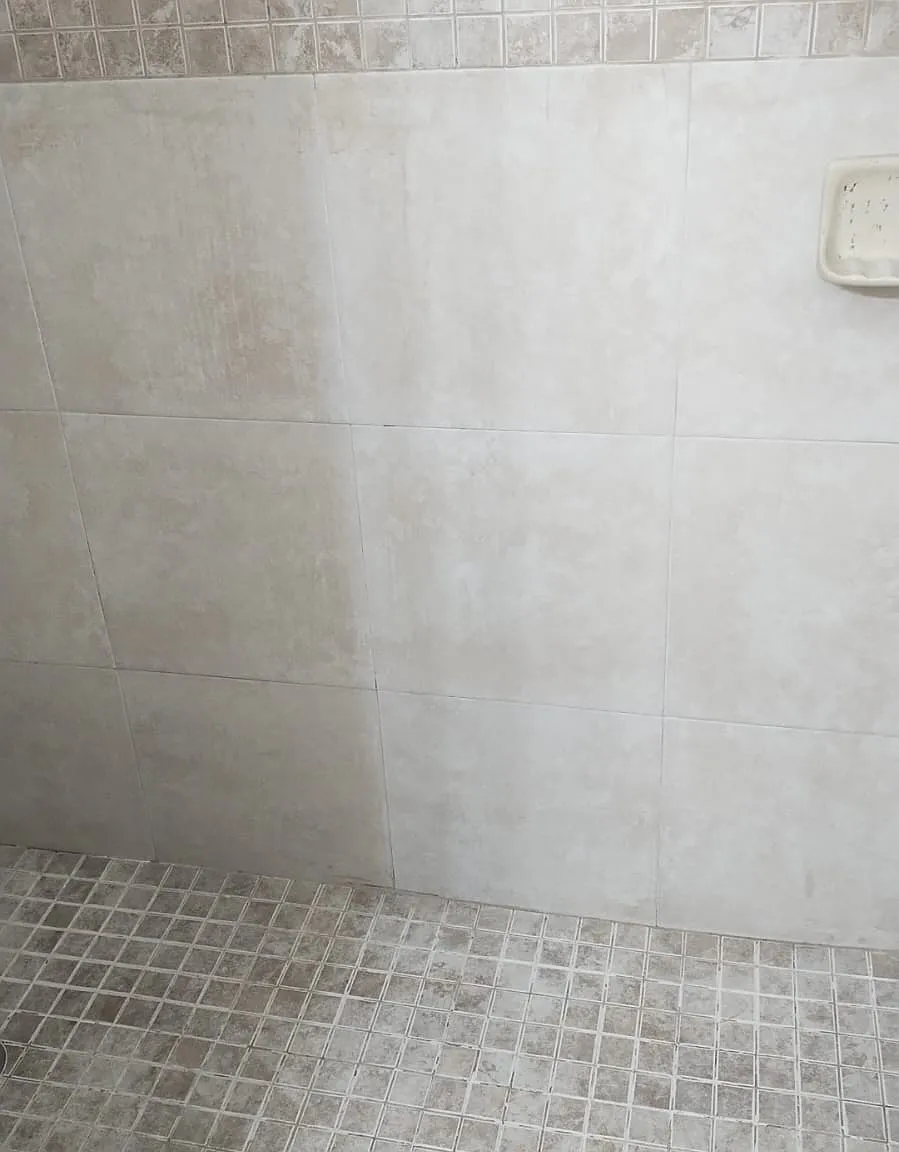 1 bed, 550 sqft, $1,550 — Photo 4