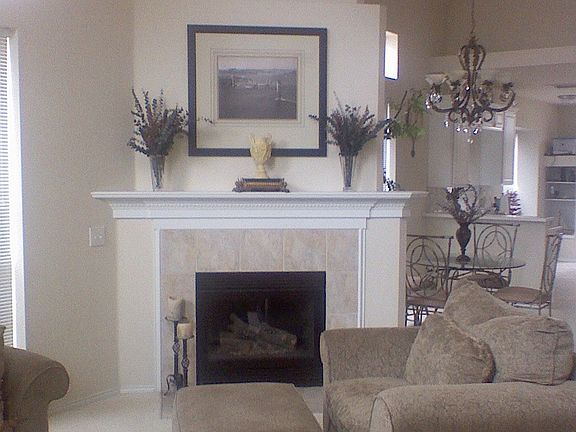 Gas Log Fireplace
