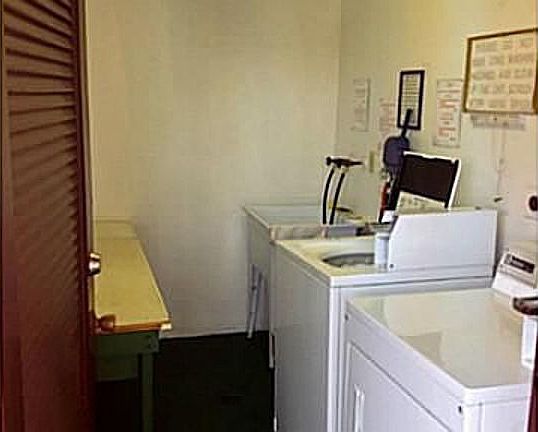 3rd image of 2951 NW 46th Ave APT 206