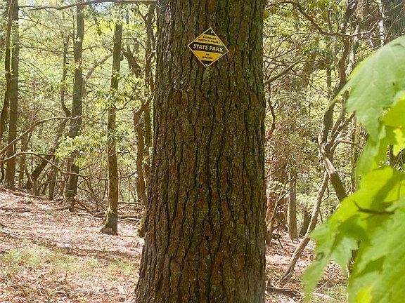 3rd image of TBD Pine Grove Circle