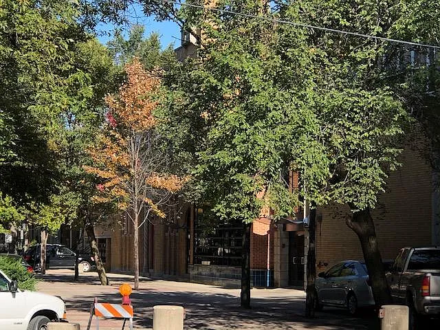 916 S Leavitt St — Photo 16