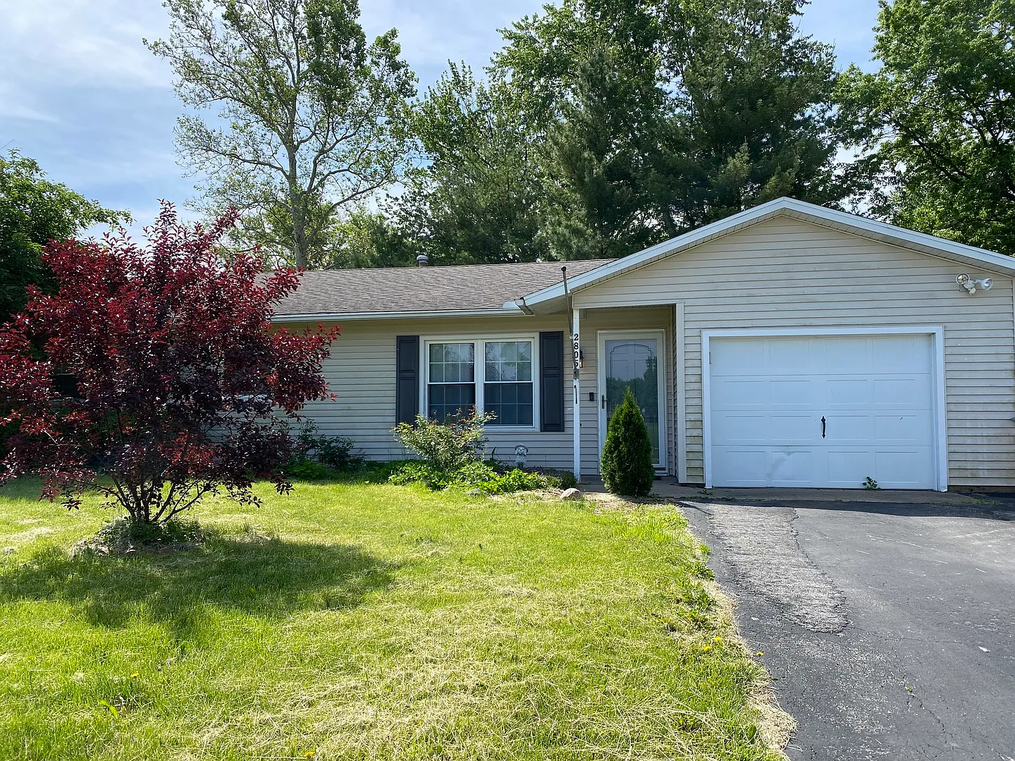 2805 Maplewood Dr photo 1