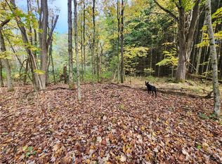 LOT 15.6 Beaver Meadow Rd, Smyrna, NY 13464