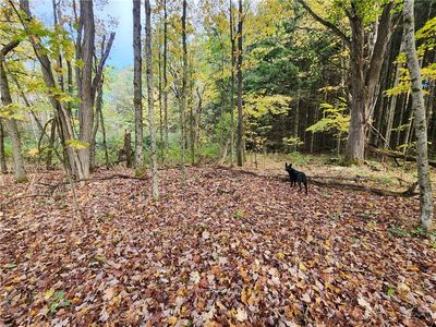 LOT 15.6 Beaver Meadow Rd, Smyrna, NY, 13464