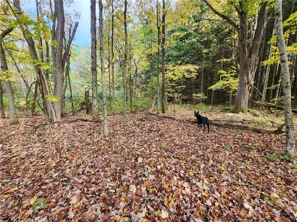 LOT 15.6 Beaver Meadow Rd, Smyrna, NY 13464