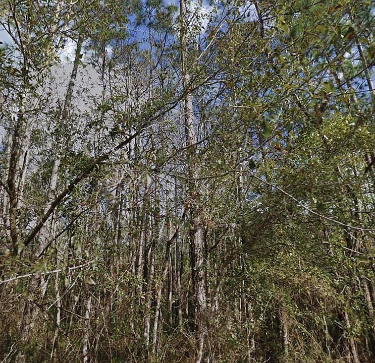 1st image of SE 3rd St Lot 8