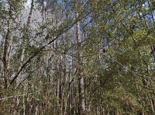 SE 3rd St Lot 8, Palatka, FL 32177