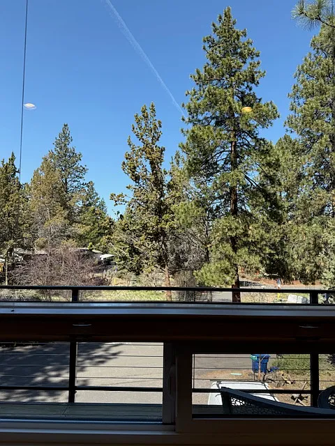 1 bed, 600 sqft, $2,300 — Photo 4