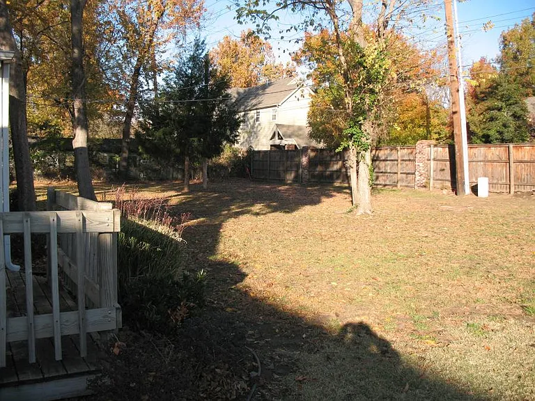 Backyard