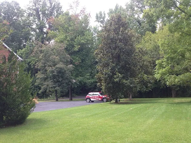 1664 Pleasant Ridge Rd — Photo 30