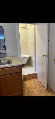 Rented by Manhattan Flats | media 11