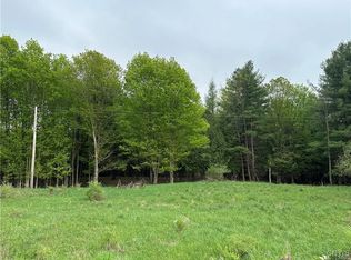 LOT 2C Nys Rte #126, Carthage, NY 13619