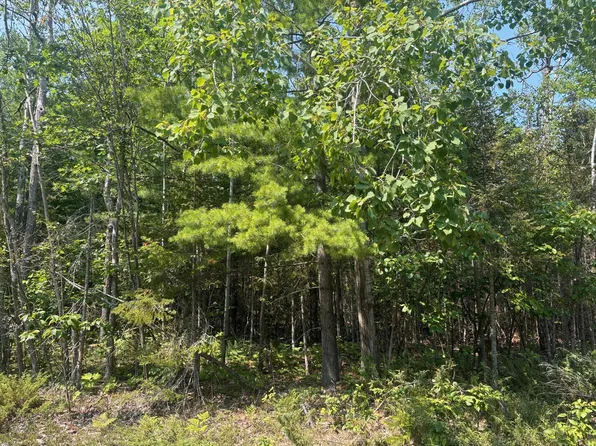 LOT 129 Wilderness Dr, Presque Isle, MI 49777