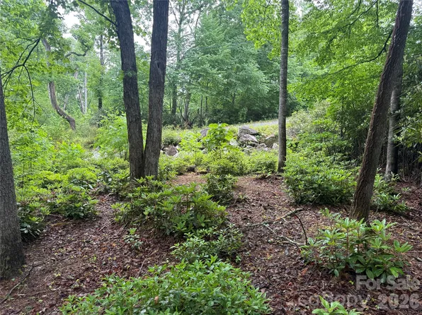 Dogwood Trl, Spruce Pine, NC 28777