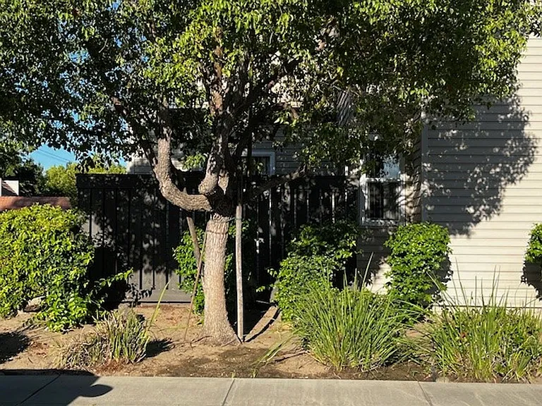 Carmel Woods Apartments — Photo 68