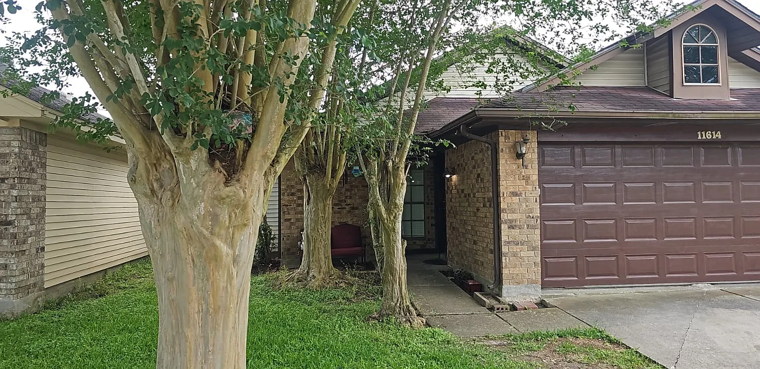 3 bed, 1350 sqft, $1,925 — Photo 3