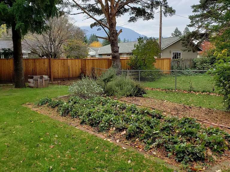 yard
