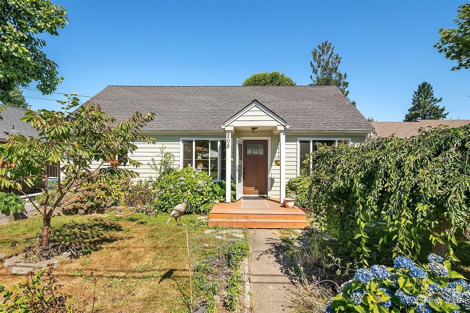 205 Birch Street photo 1
