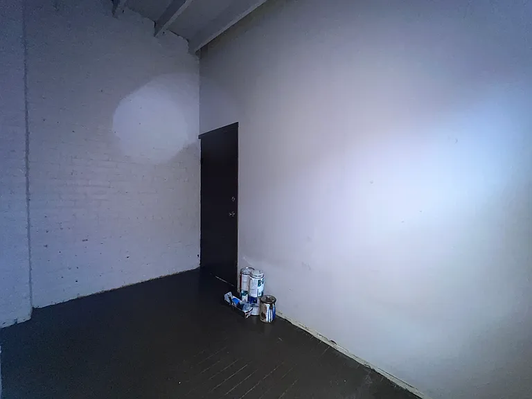 2707 E 78th St #2W — Photo 19