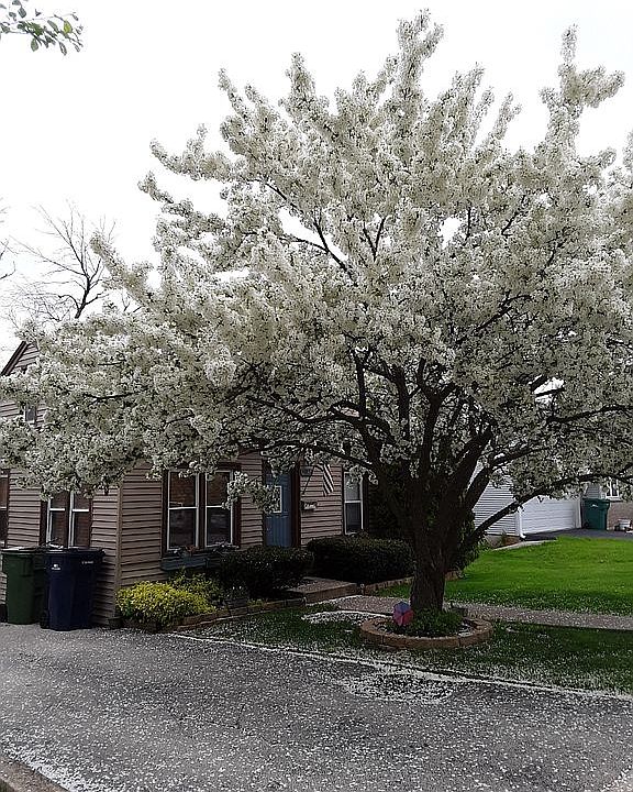 1st image of 9824 S Campbell Ave
