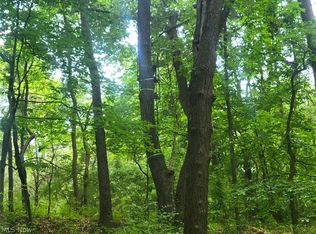 Saint Peters Church Rd NW, Bolivar, OH 44612