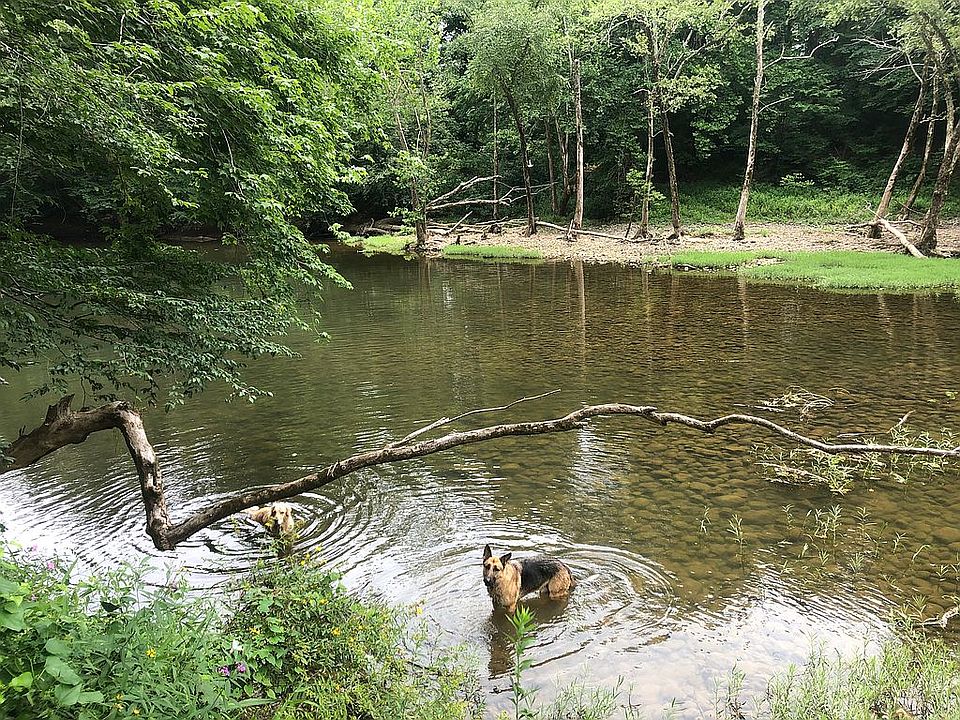 Caney Fork River on property