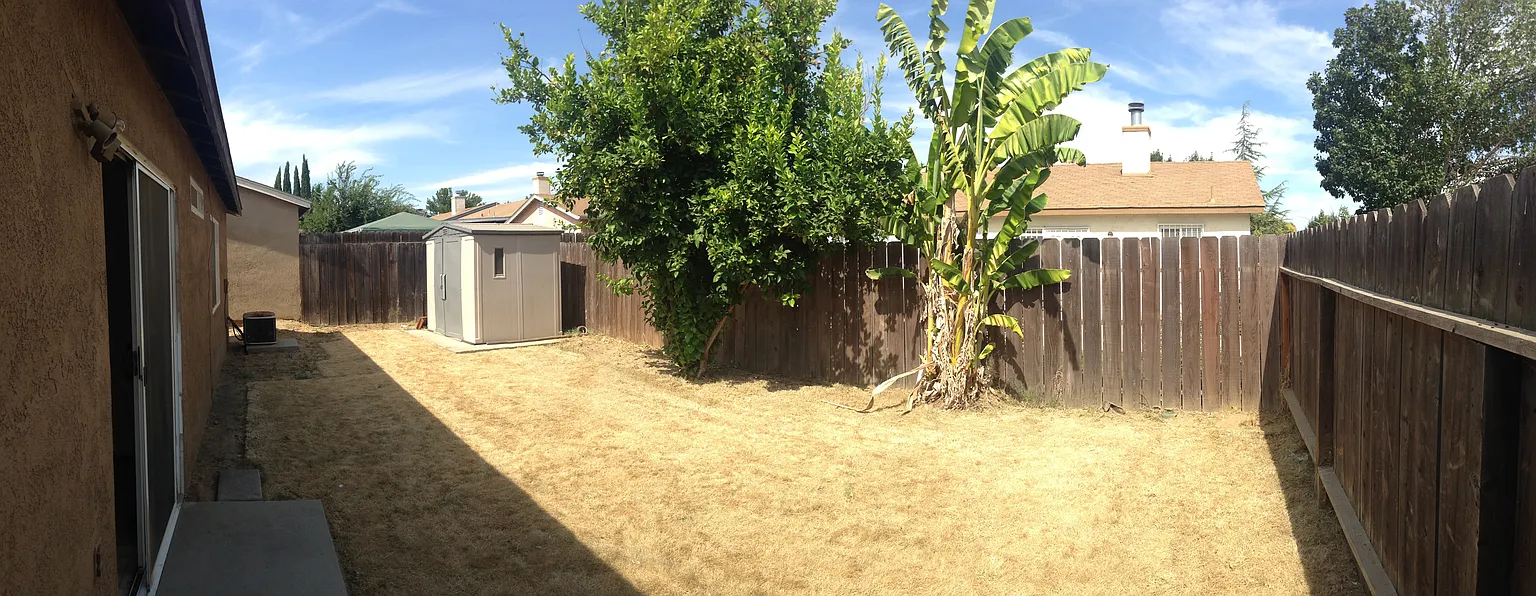 1128 Desert Pine Ct photo 1