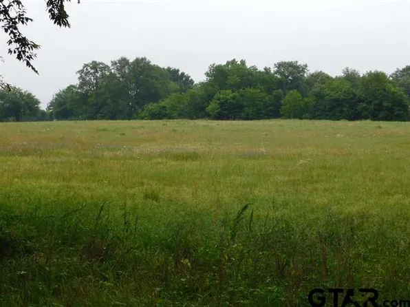 Zella Ln, Gilmer, TX 75644