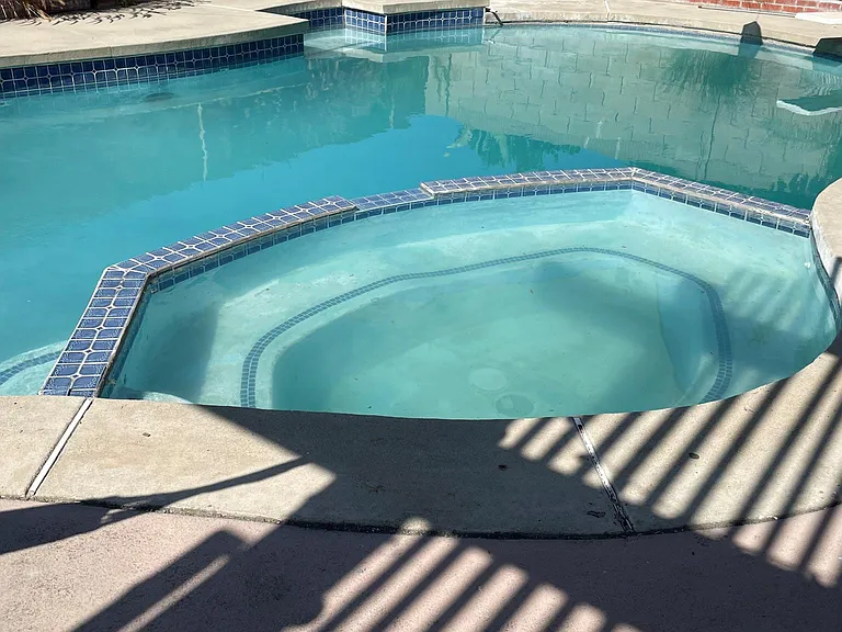 pool and backyard