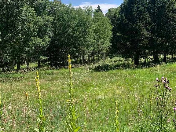 LOT 50 Aandb Hidden Lake Cir, Angel Fire, NM 87710 | MLS #107530 | Zillow