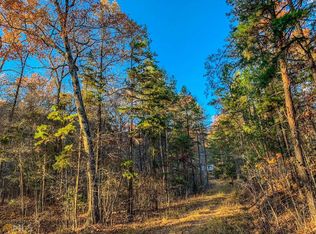 141 Wildflower Dr, Mineral Bluff, GA 30559