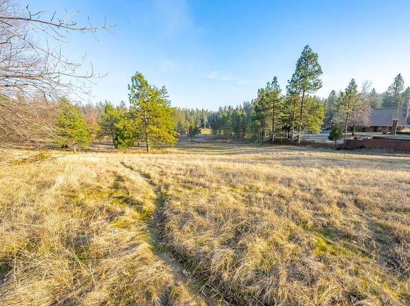 20793 Todd Valley Rd, Foresthill, CA 95631