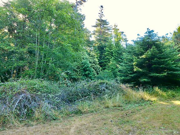 2nd image of 19130 Dorffi Road