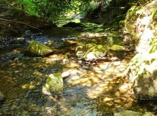 46 Ringtail Rd, Georgetown, CA 95634