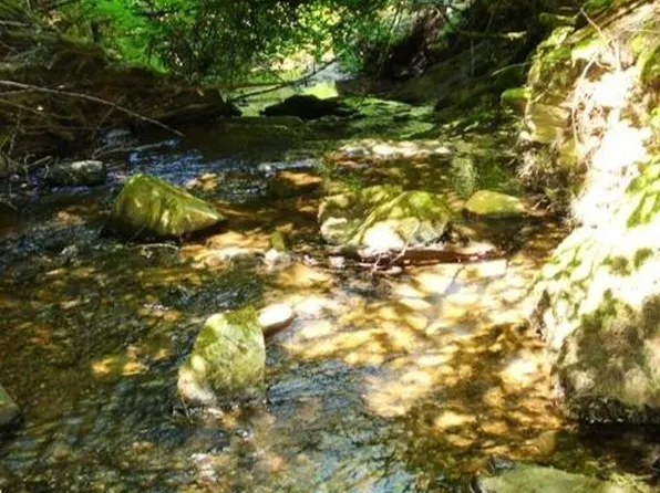 46 Ringtail Rd, Georgetown, CA 95634