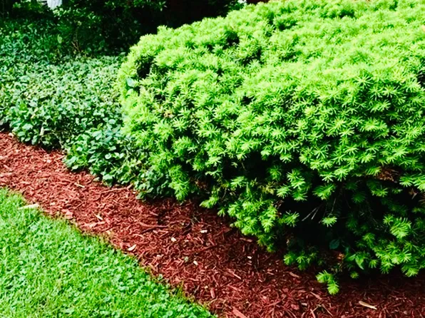 735 Lincolnway E APT 1, Mishawaka, IN 46544