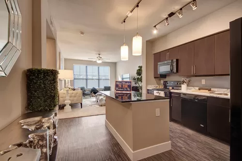 Gorgeous Designer Kitchen with High End Appliances - The Enclave at Brookside