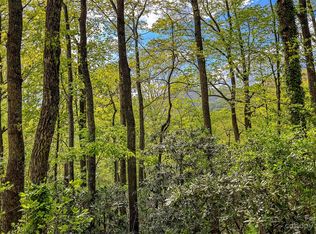 99999 Oklahoma Rd, Black Mountain, NC 28711