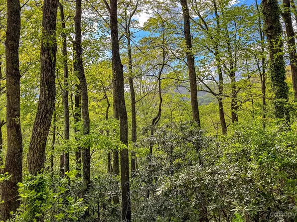 99999 Oklahoma Rd, Black Mountain, NC 28711
