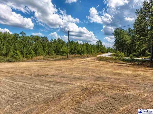 231 J C Barefoot Rd, Patrick, SC 29584